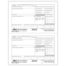 Picture of W-2 Employer Copy 1 or D State or City