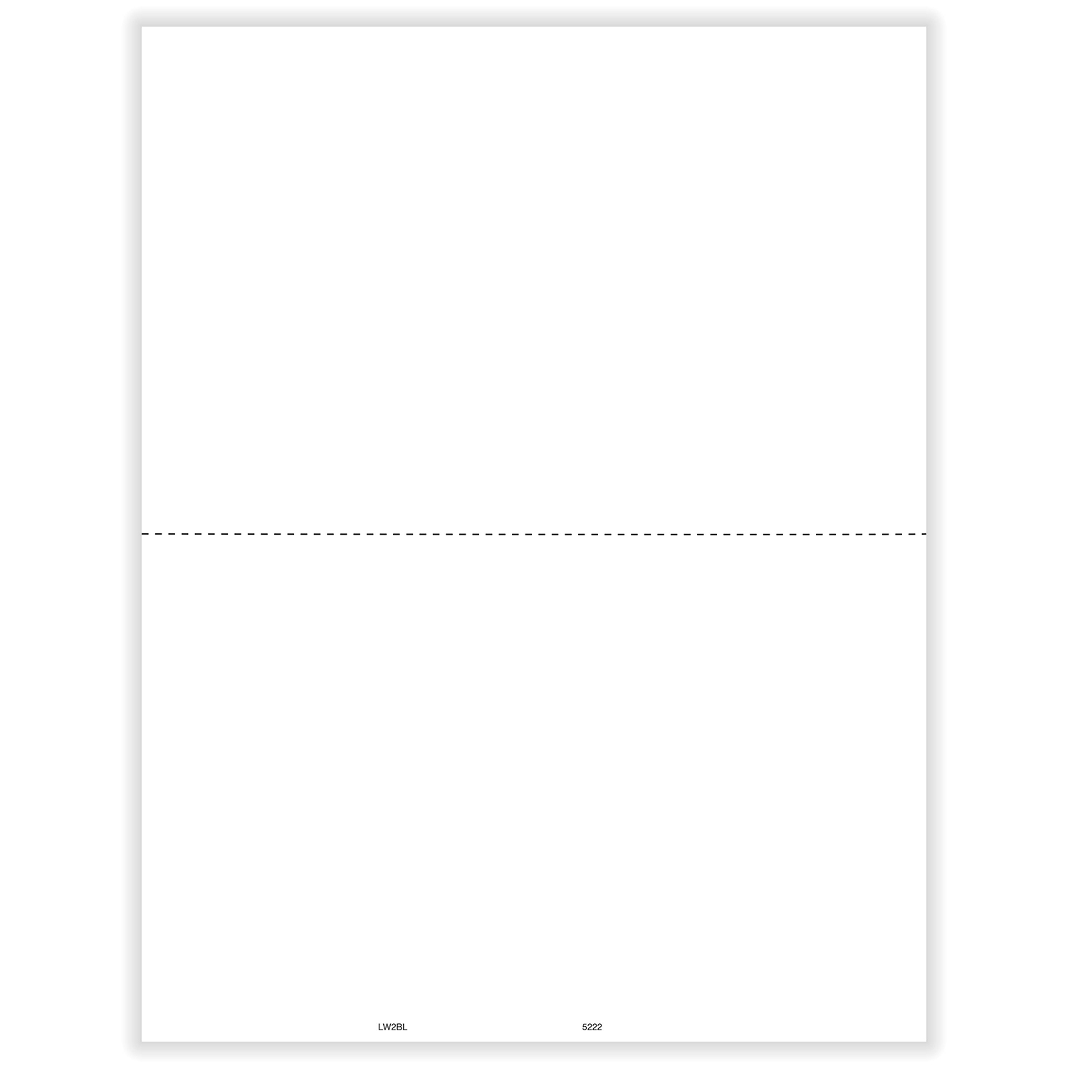 Picture of W-2 Blank, 2-Up, w/ Backer Instructions (1,000 Forms)