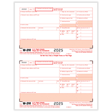 Picture of W-2VI Copy A, Pack of 50 (100 Forms)