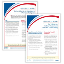 Picture of Politics at Work, Policy Poster Set (A2240 & A2241)