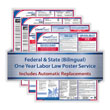 Picture of Federal (Bilingual) & State (Bilingual) Labor Law Poster Service (1-Year)