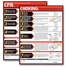 Picture of CPR & Choking Poster Set