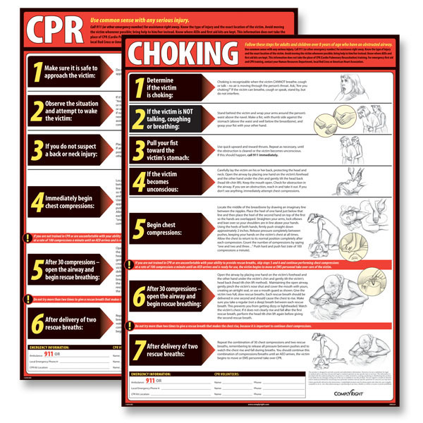 Picture of CPR & Choking Poster Bundle