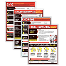 Picture of Lifesaving Poster Set