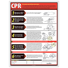 Picture of CPR Poster